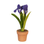 Dollhouse Miniature Potted Purple Iris