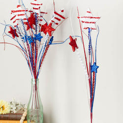 Stars and Stripes Sequined Sprays