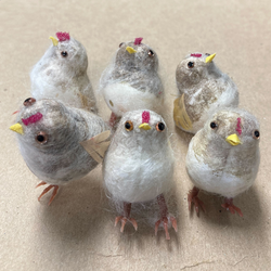 Fuzzy Mini Chickens