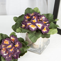 BUY ONE GET ONE Artificial African Violet