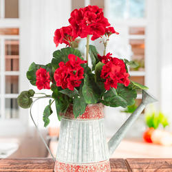 Artificial Red Geranium and Farm Fresh Watering Can Set