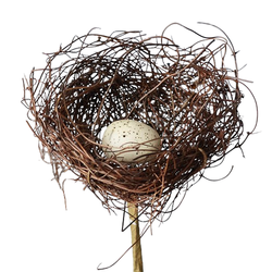 Natural Grapevine Bird's Nest with Egg Pick