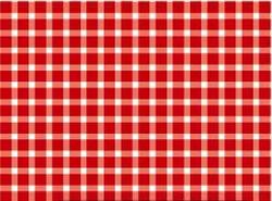 Dollhouse Miniature Red Gingham Wallpaper