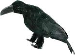 Large Artificial Black Crow