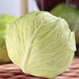 Market Fresh Artificial Head of Cabbage