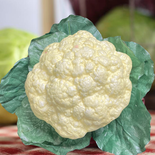 Artificial Cauliflower