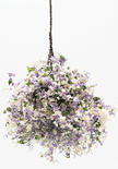 Miniature Hanging Basket of Lavender and White Tiny Flowers