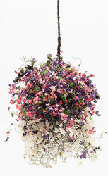 Miniature Hanging Basket of Grandma's Garden Tiny Flowers