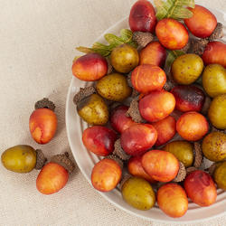 Direct Wholesale Assorted Fall Artificial Acorns