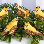 Yellow Crested Mushroom Birds
