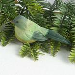Green Feathered Mushroom Bird