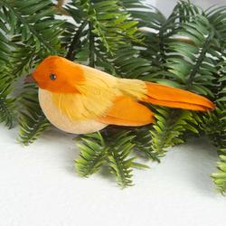 Orange Feathered Mushroom Bird