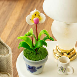 Dollhouse Miniature Potted White Paphopidilum Orchid